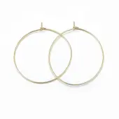 316 Surgical Stainless Steel Hoop Earrings