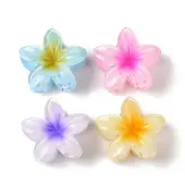 Plastic Claw Hair Clips