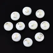 Natural Freshwater Shell Beads
