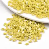 2-Hole Glass Seed Beads