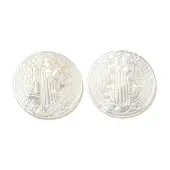 Carved Natural White Shell Cabochons