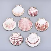 Electroplate Sea Shell Pendants