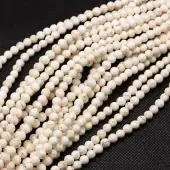 Natural Magnesite Beads Strands