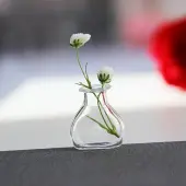 Glass Vase Ornaments
