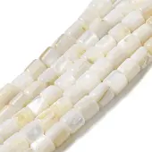 Natural Freshwater Shell Beads Strands