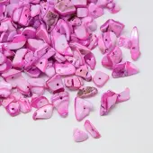 Dyed Natural Freshwater Shell Chips Beads