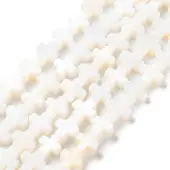 Natural Freshwater Shell Beads Strands