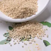 MIYUKI Delica Beads
