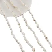 3 strands Natural Trumpet Shell Beads Strands