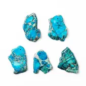 Natural Regalite/Imperial Jasper/Sea Sediment Jasper Pendants