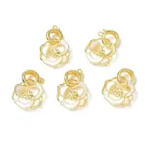 Brass Twister Clasps with Shell