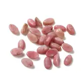 Natural Rhodonite Cabochons