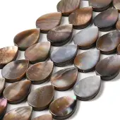Natural Sea Shell Beads Strands
