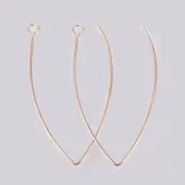 Ion Plating(IP) 304 Stainless Steel Earring Hooks