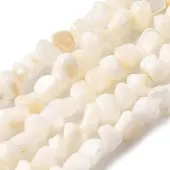 Natural Freshwater Shell Beads Strands