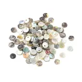 Natural Akoya Shell Flat Round Charms