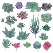 PVC Artificial Succulent Plant