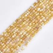 Yellow Shell Beads Strands