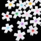 Natural Freshwater Shell Beads