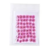 Centaurea Iberica Embossing Dried Flower