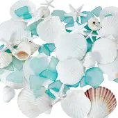 Resin & Natural Shell Display Decoration