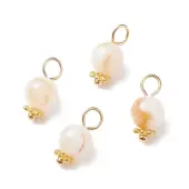 Natural Freshwater Shell Charms