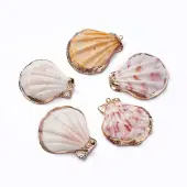 Shell Pendants