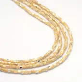 Natural Trochid Shell/Trochus Shell Bead Strands