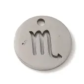 Non-Tarnish 201 Stainless Steel Charms