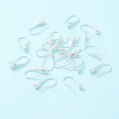 925 Sterling Silver Earring Hooks