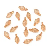 Transparent Acrylic Charms