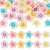 30Pcs 6 Colors Transparent Resin Cabochons