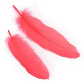 Goose Feather Costume Accessories