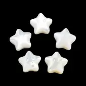Natural White Shell Beads