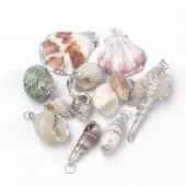 Sea Shell Pendants