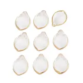 Transparent Acrylic Pendants