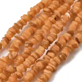 Natural Freshwater Shell Beads