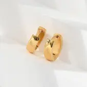 304 Stainless Steel Polishing effect Hoop Earrings