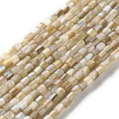 Natural Freshwater Shell Beads Strands
