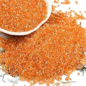 Electroplate Glass Seed Beads