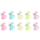 10Pcs 5 Colors Luminous Resin Display Decoration