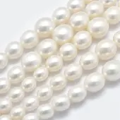 Natural Cultured Freshwater Pearl Beads Strands