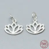 925 Sterling Silver Charms