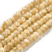 Natural Trochus Shell Beads Strands