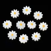 Natural Freshwater Shell Beads
