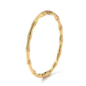 Ion Plating(IP) 304 Stainless Steel Hinged Bangles for Women