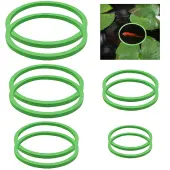 2 Sets EVA Foam Feeding Ring for Fish