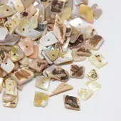 Dyed Natural Freshwater Shell Chips Beads