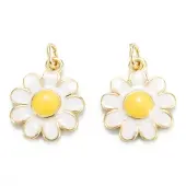 Brass Enamel Pendants