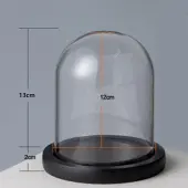 Arch Glass Dome Cover